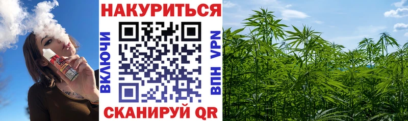 Каннабис индика Болохово